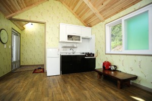 개나리 세부사진