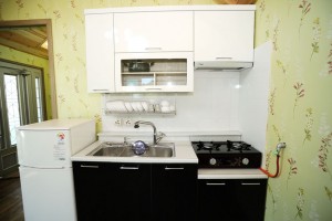 개나리 세부사진