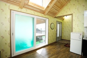 개나리 세부사진