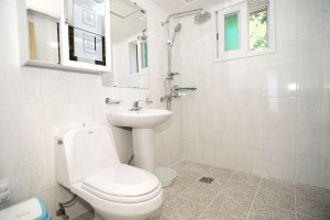 개나리 세부사진