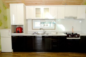 민들레 세부사진