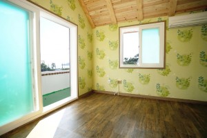 민들레 세부사진