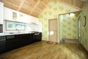 민들레 세부사진