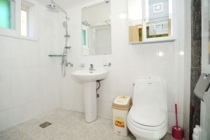 민들레 세부사진