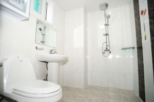 봉숭아 세부사진