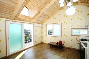 진달래 세부사진