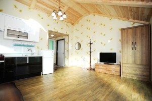 진달래 세부사진