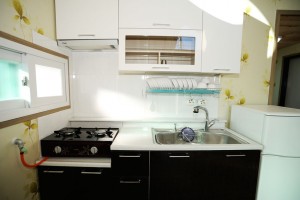 진달래 세부사진