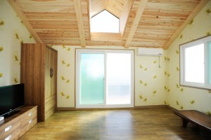 진달래 세부사진