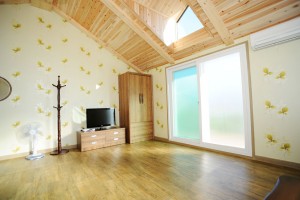 진달래 세부사진