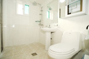 진달래 세부사진