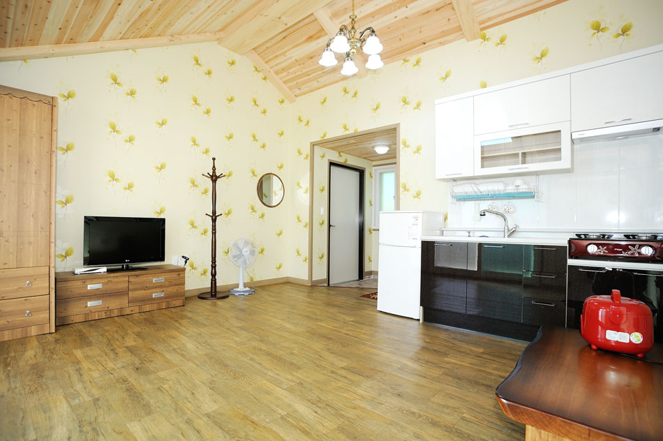 채송화 세부사진