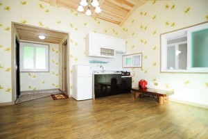 채송화 세부사진