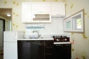 채송화 세부사진