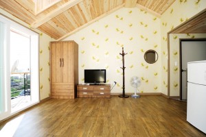 채송화 세부사진