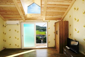 채송화 세부사진