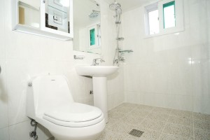 채송화 세부사진